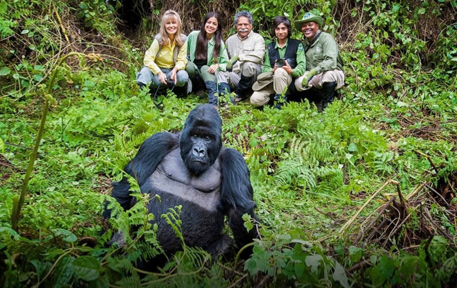 6 Days Rwanda Gorilla Trekking and Akagera Safari