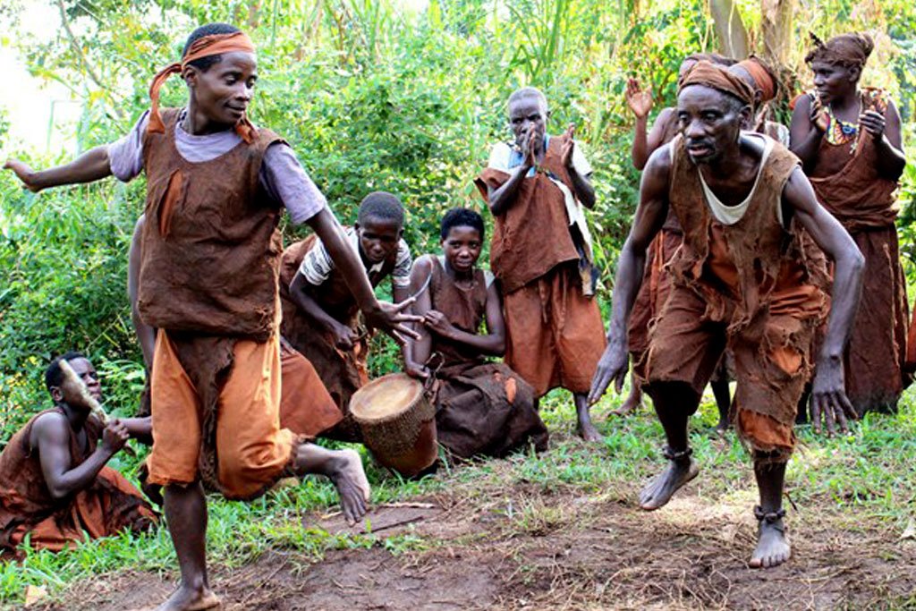 Wildlife and cultural experiences during a gorilla safari