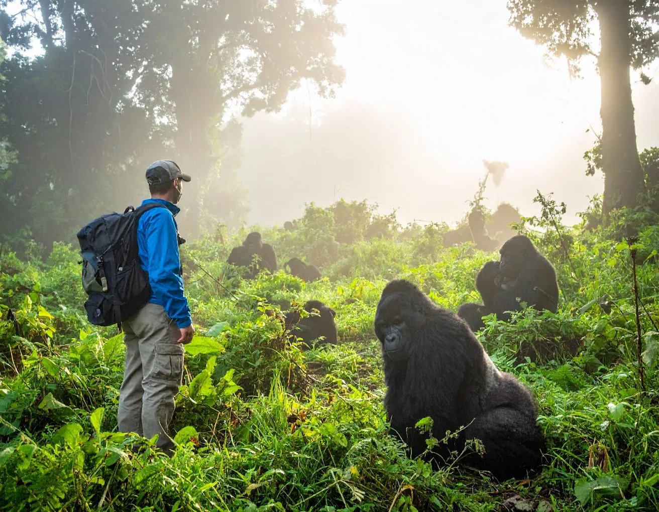 11 Days Rwanda Gorilla Chimpanzee Wildlife and Culture Safari
