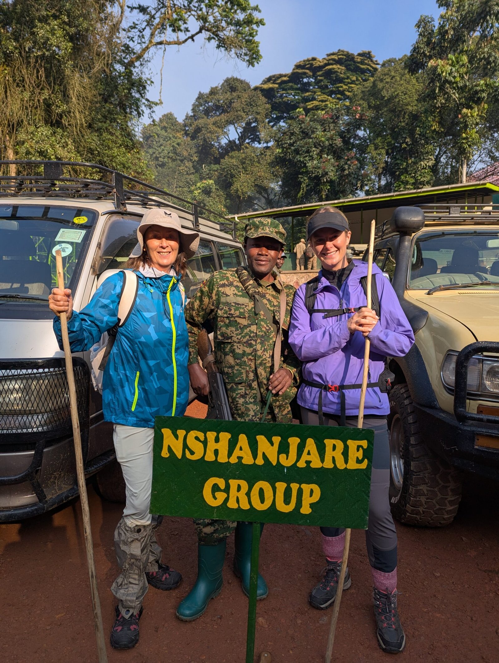 Gorilla safari experience in the African rainforest