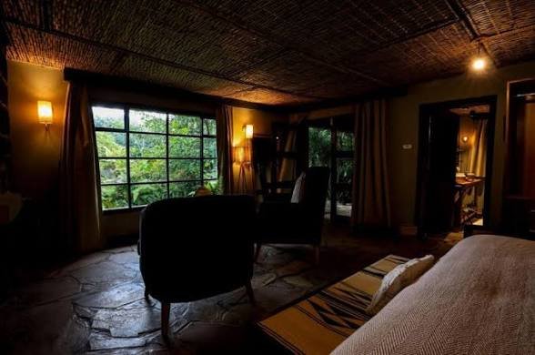 Gorilla trekking adventure in Rwanda