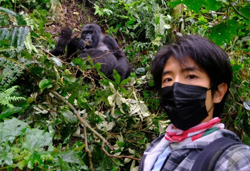Mountain gorilla trekking experience in Uganda and Rwanda