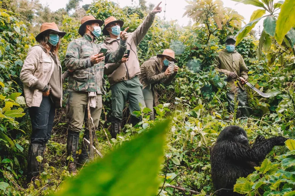 Family enjoying a Rwanda gorilla trekking safari
