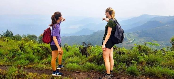 Best Gorilla Family Trek in Rwanda experience