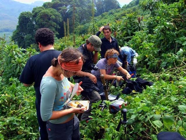Best Gorilla Family Trek in Rwanda experience