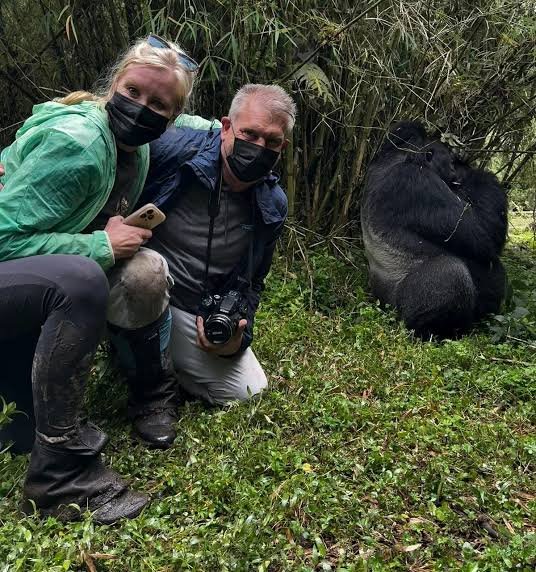 Mountain Gorilla Families in Rwanda
