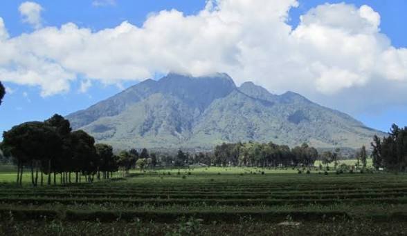 Rwanda gorilla safari adventure with premium services