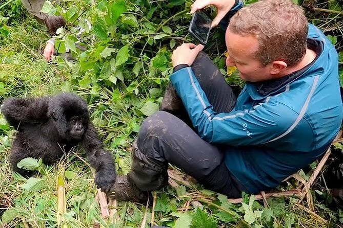 Gorilla trekking experience in Rwanda